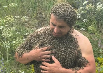 Karslı ‘Arı Adam’, binlerce arıyla savaşlara dikkat çekti