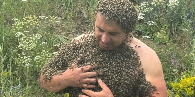 Karslı ‘Arı Adam’, binlerce arıyla savaşlara dikkat çekti