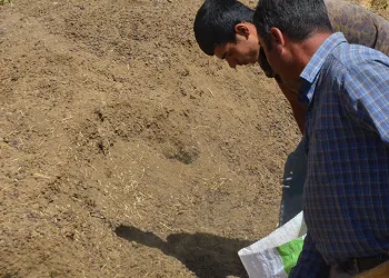 Hayvan yetiştiricilerinin yeni gelir kapısı