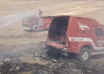 Arguvan’da anız yangını