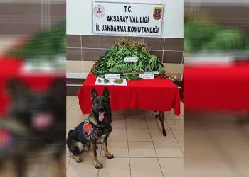 Uyuşturucu tacirinin evine baskın