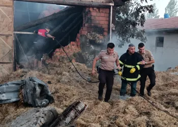 Besihanede çıkan yangında 5 büyük hayvan telef oldu