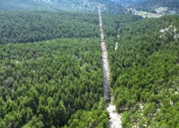 Kütahya’da orman yangınları ile mücadele çalışmaları