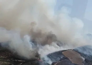 Manisa’da orman yangını