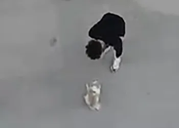 Köpeğine eziyet eden şahıs serbest bırakıldı