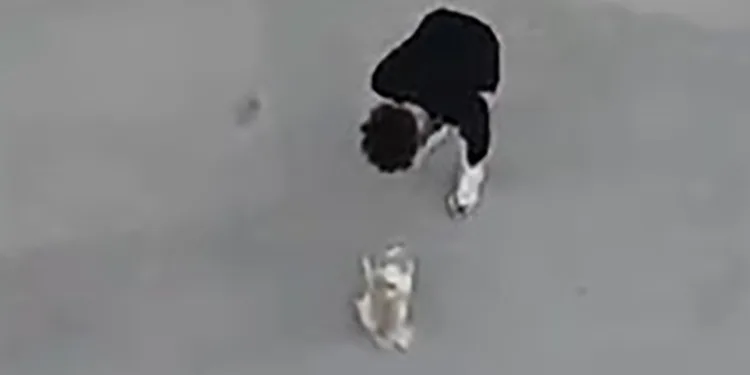 Köpeğine eziyet eden şahıs serbest bırakıldı