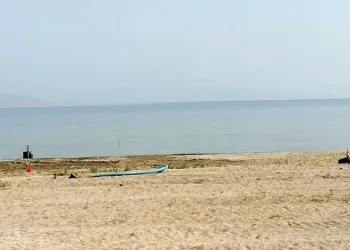 Bursa’da sahilde erkek cesedi bulundu