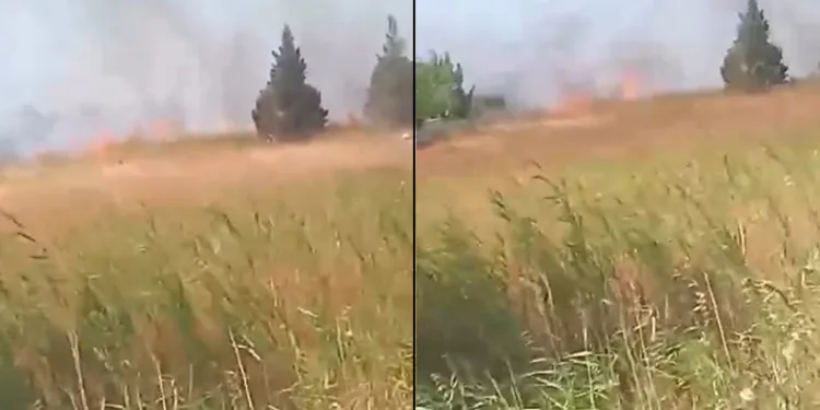 Bursa’da korkutan yangın