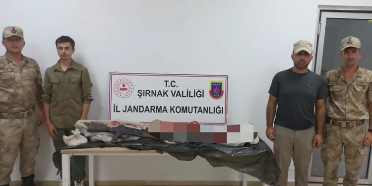 Şırnak’ta yaban keçesi avlayan şahsa 660 TL ceza kesildi