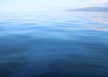 Rize sadece çayı ile değil petrolü ile de anılacak