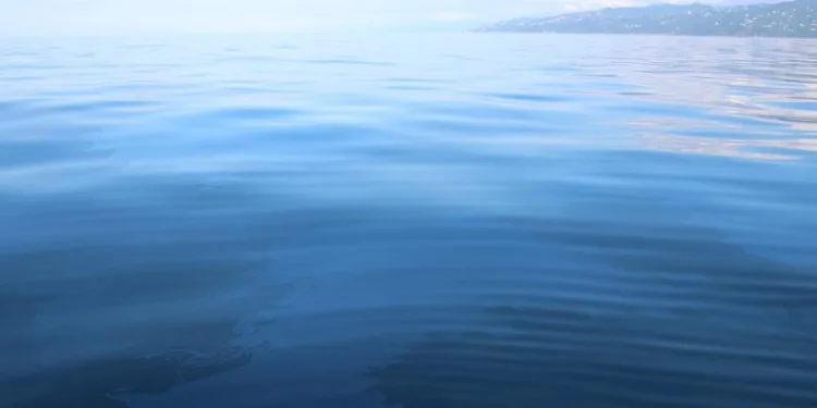 Rize sadece çayı ile değil petrolü ile de anılacak