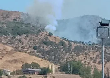 Milas Ören’de arazi yangını