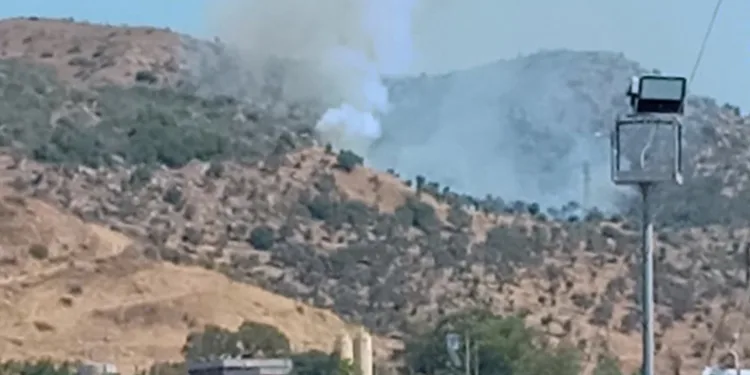 Milas Ören’de arazi yangını