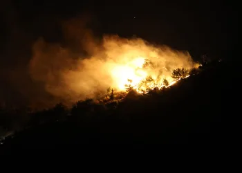 Hatay’da orman yangını