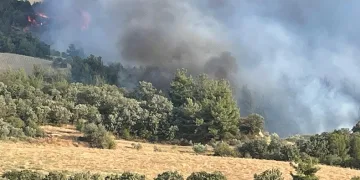 Gördes’teki 2 orman yangını devam ediyor