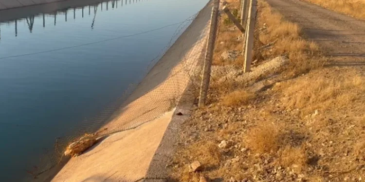 Sulama kanalına giren çocuk boğuldu