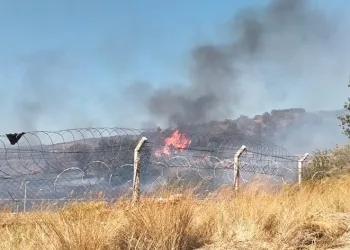 İzmir’de orman yangınına havadan ve karadan müdahale