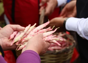 Türkiye’nin en güzel barbunyası: ‘Kınık Barbunyası’
