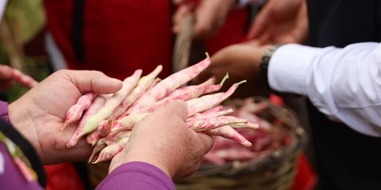 Türkiye’nin en güzel barbunyası: ‘Kınık Barbunyası’