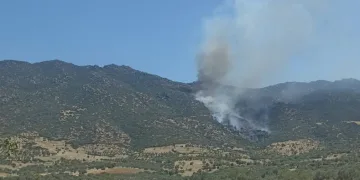 Nazilli’de makilik yangını