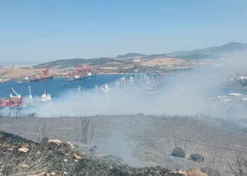 İzmir’de orman yangını