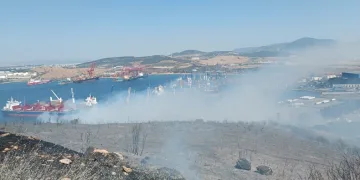 İzmir’de orman yangını