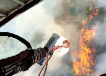 Anız yangını ormana sıçradı, müdahale sürüyor