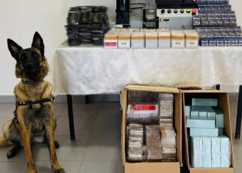 25 bin 580 adet dolu ve boş makaron ele geçirildi