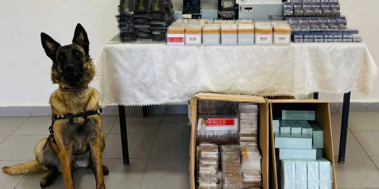25 bin 580 adet dolu ve boş makaron ele geçirildi