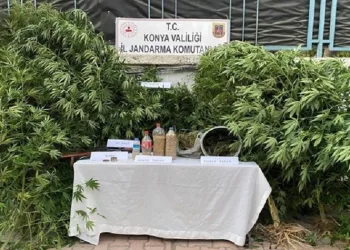 jandarmadan uyuşturucu operasyonu: 3 gözaltı