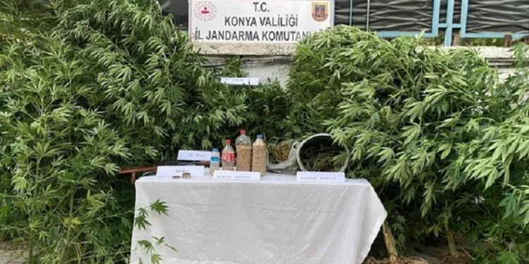 jandarmadan uyuşturucu operasyonu: 3 gözaltı
