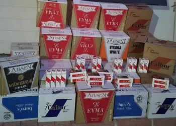 408 bin adet gümrük kaçağı makaron ele geçirildi