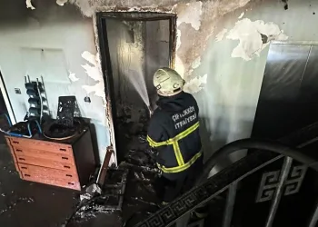 Villada korkutan yangın
