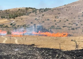 Arguvan’da çıkan yangın meyve ağaçlarına zarar verdi