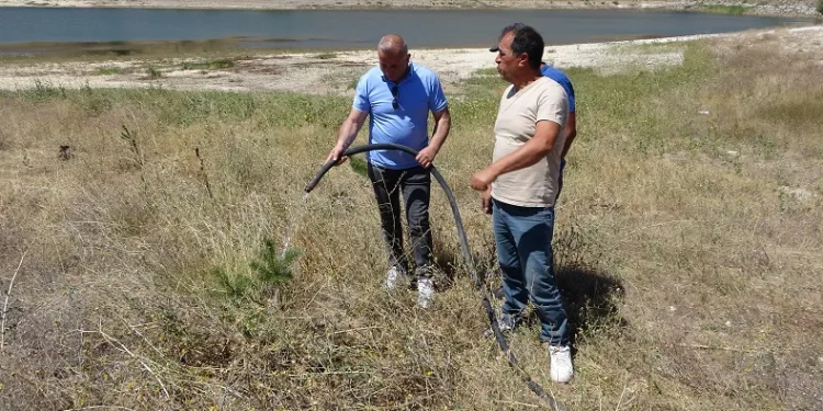 Gurbetçiler bozkırı yeşillendirdi