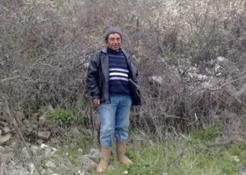 Dananın saldırdığı adam ağır yaralandı