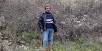 Dananın saldırdığı adam ağır yaralandı