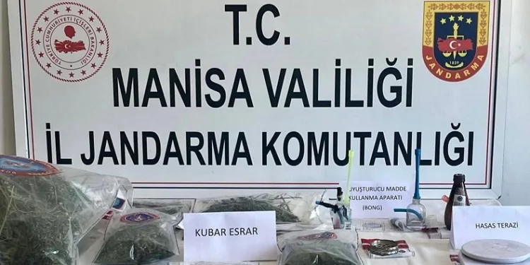 Manisa’da jandarmadan uyuşturucu operasyonu