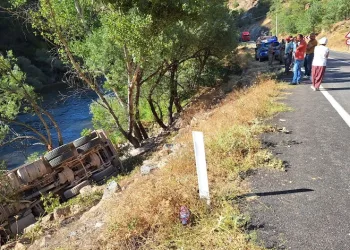 Kamyon şarampole devrildi