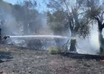 Bodrum’daki yangına müdahale sürüyor