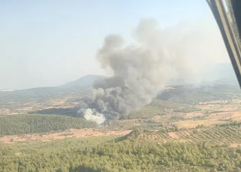 Milas’ta orman yangını