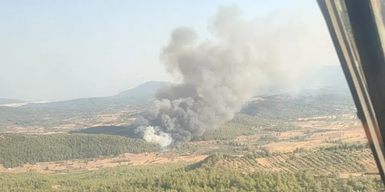 Milas’ta orman yangını