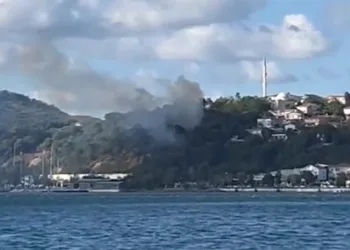 Beykoz’da ormanlık alanda yangın