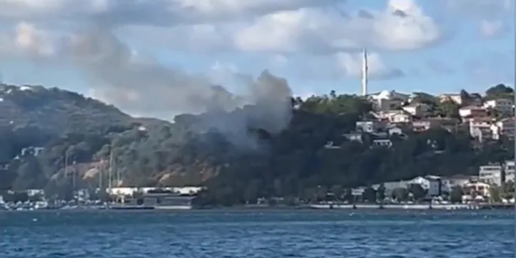 Beykoz’da ormanlık alanda yangın
