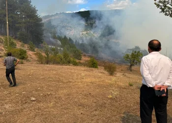Kastamonu’daki orman yangını söndürüldü