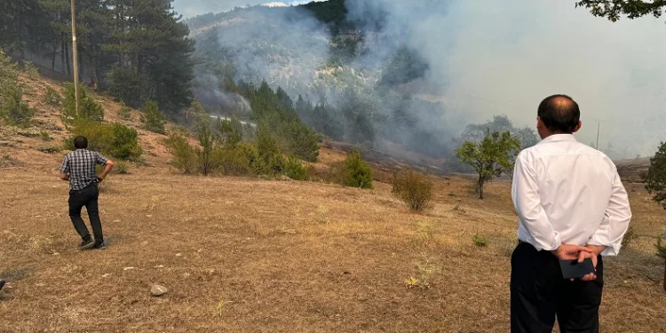 Kastamonu’daki orman yangını söndürüldü