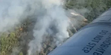 İzmir’de bir orman yangını daha