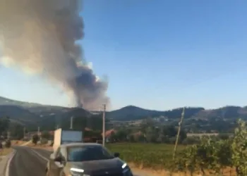 Bozdoğan’daki orman yangını için Muğla sınırında önlem alındı