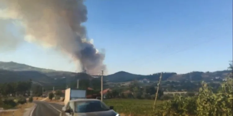 Bozdoğan’daki orman yangını için Muğla sınırında önlem alındı