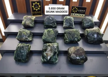 Uşak’ta 1 uyuşturucu satıcısı tutuklandı